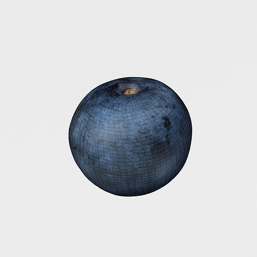 Blueberry Fruit 3D model Photoscan Low-poly 3D model 5