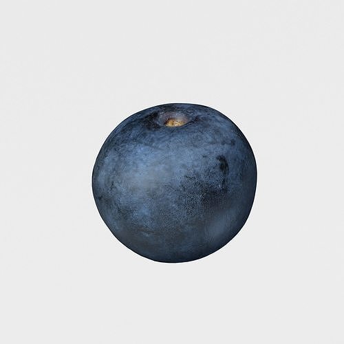 Blueberry Fruit 3D model Photoscan Low-poly 3D model 4
