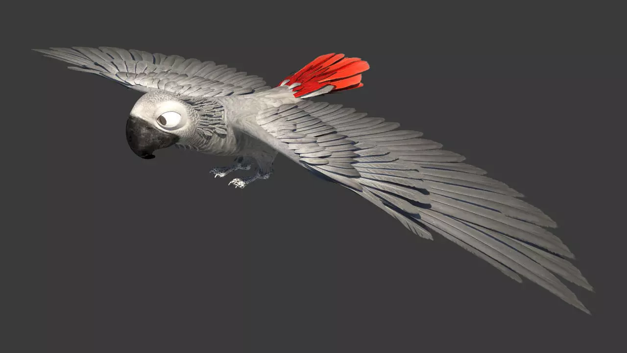 Gray parrot Low-poly 3D model