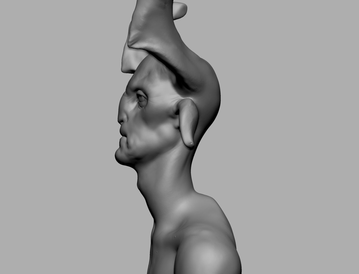Fantasy Creature Head v2 3D model_3