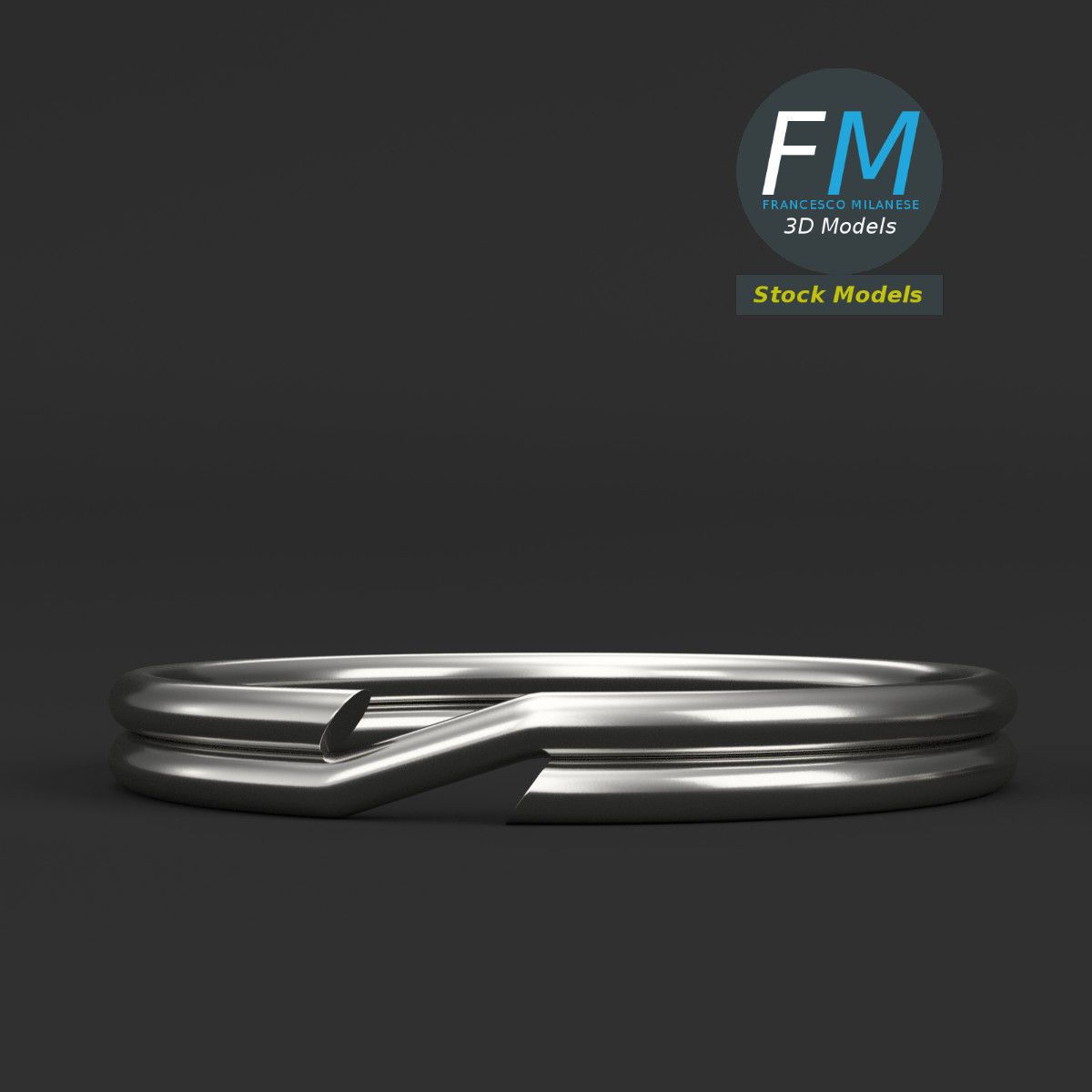 Split rings 3D model_3