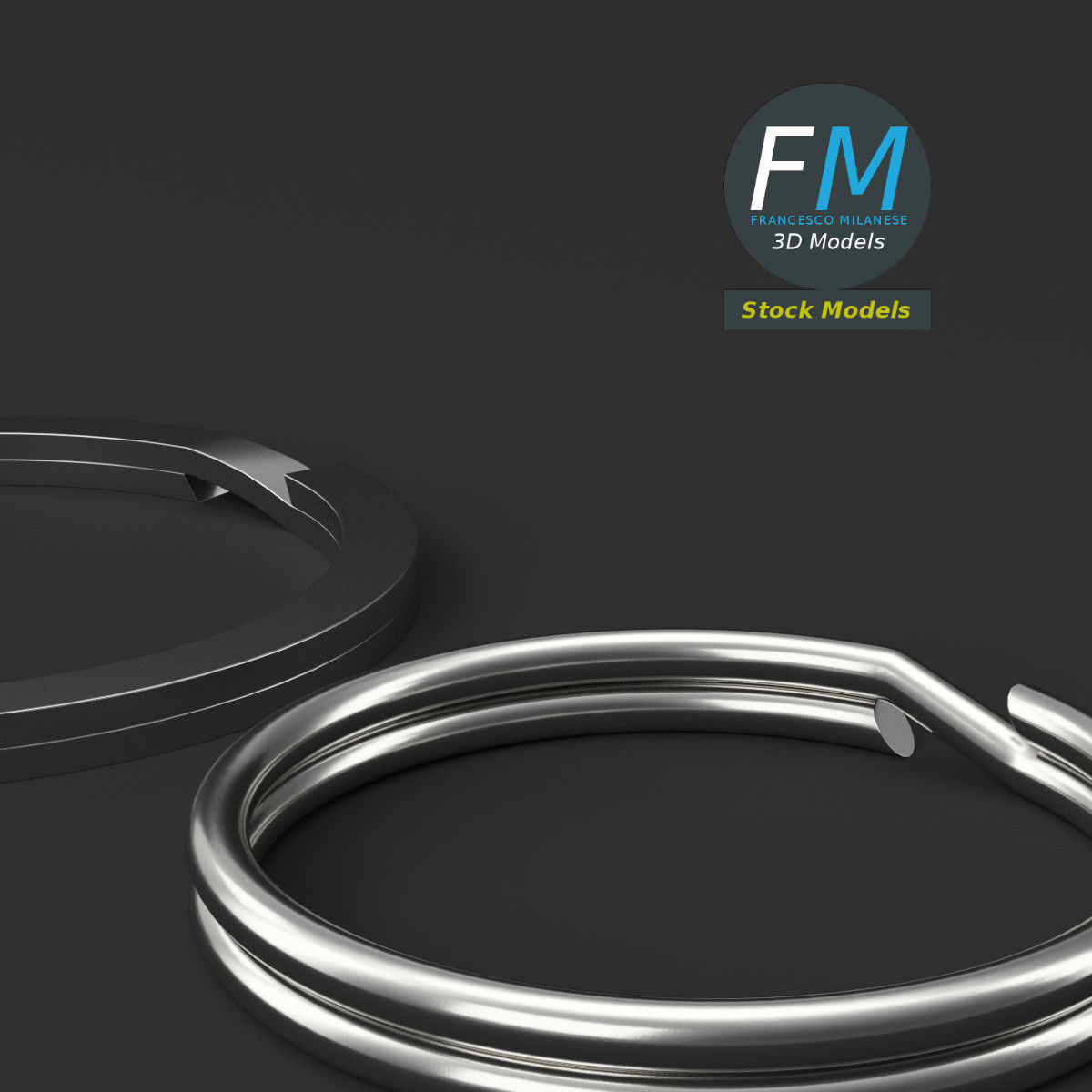 Split rings 3D model_5