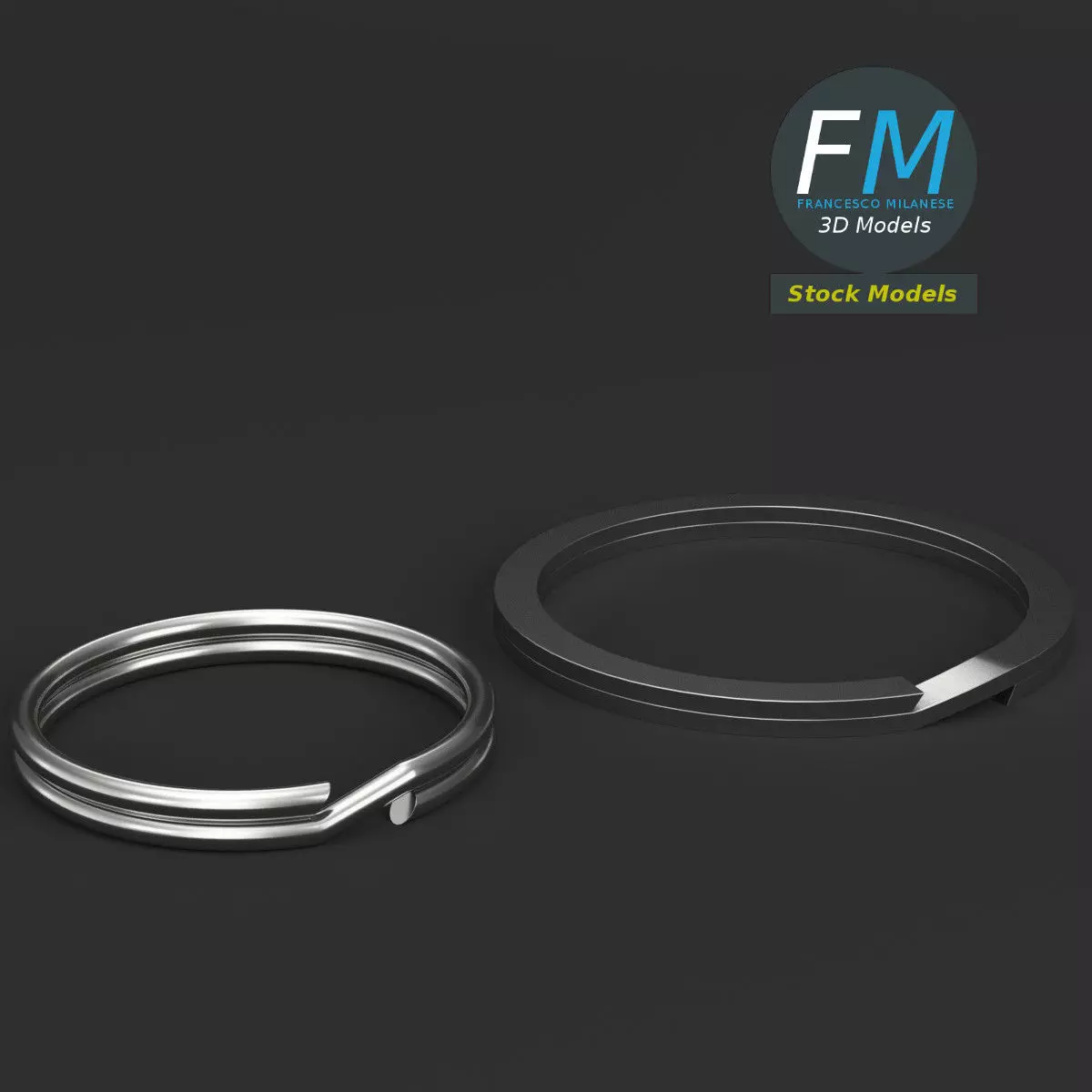 Split rings 3D model_0