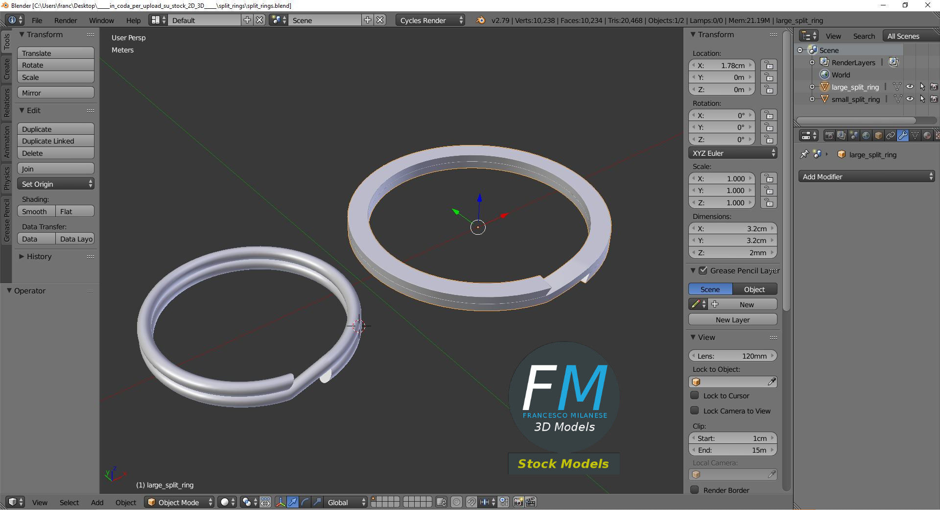 Split rings 3D model_9