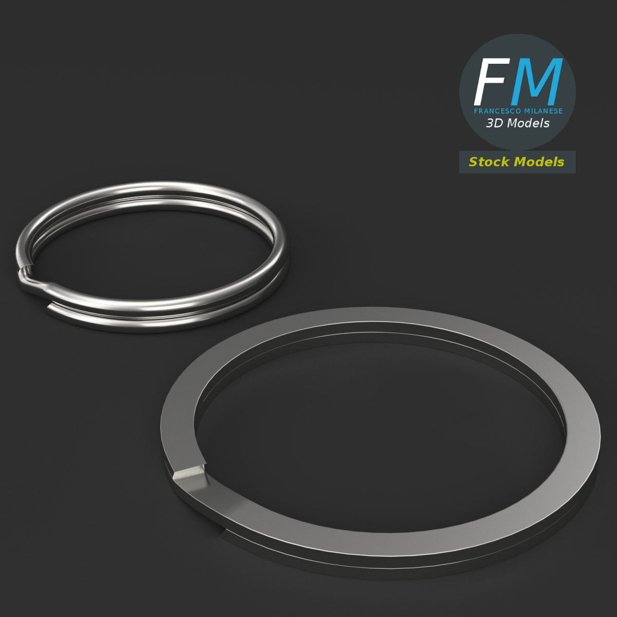 Split rings 3D model_2