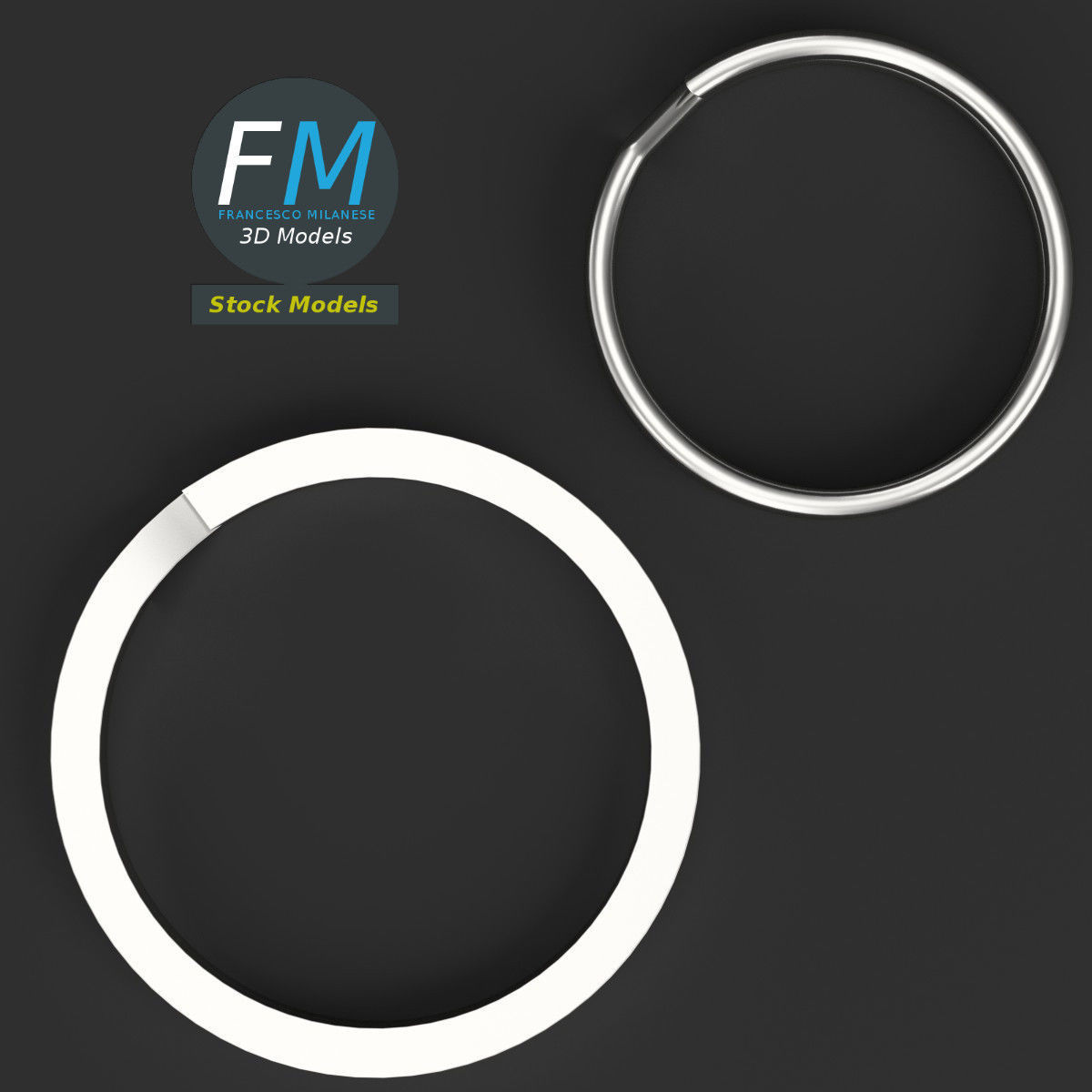 Split rings 3D model_6