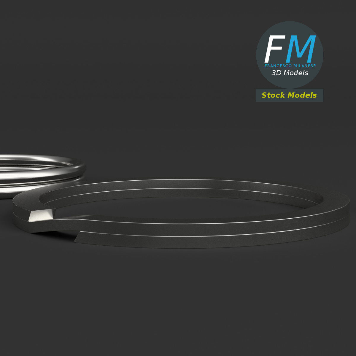 Split rings 3D model_4