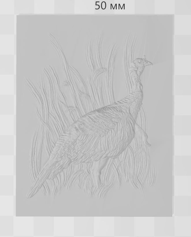 Wild Turkey - relief -2019 3D print model_3