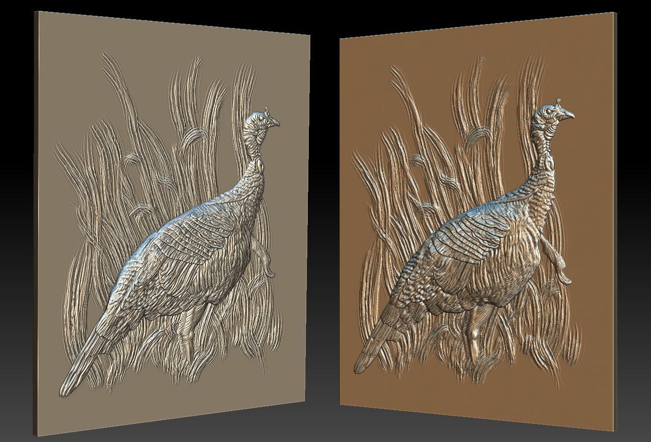Wild Turkey - relief -2019 3D print model_1