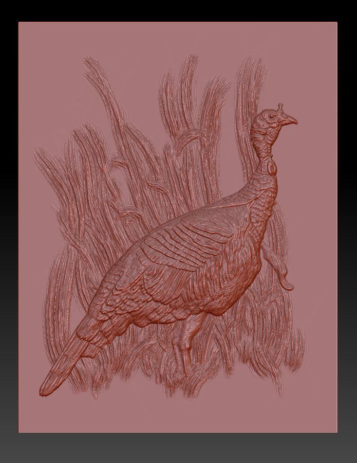 Wild Turkey - relief -2019 3D print model_2