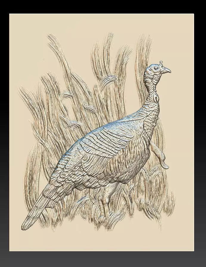 Wild Turkey - relief -2019 3D print model_0