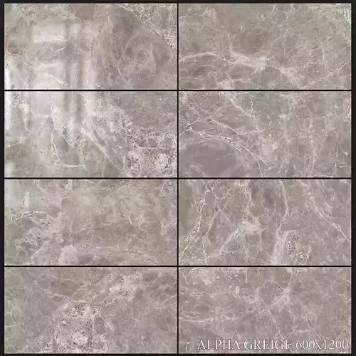 Yurtbay Seramik Alpha Greige 600x1200