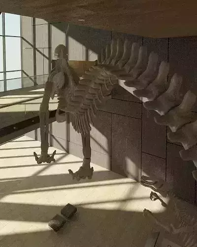 dinosaur room with skeleton in it Free 3D model