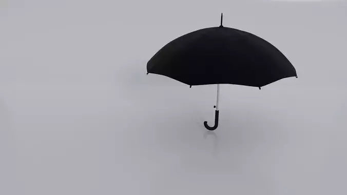 Black umbrella