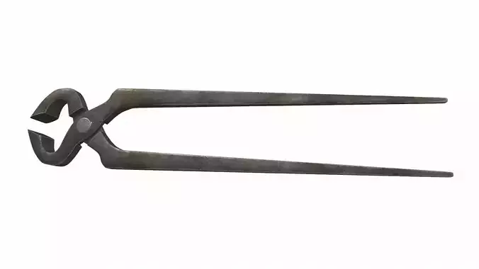 Pliers ticks colect 3D model
