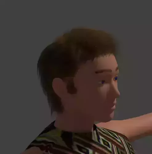3d Hairing Character