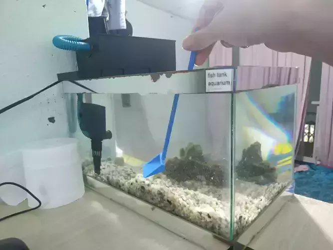 Clean your aquarium