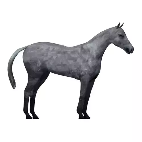 3D model Low poly 3D Horse Model For Games NEW