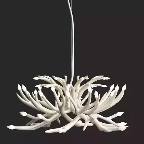 Superordinate Antlers chandelier 24 antlers white von Roll Hill