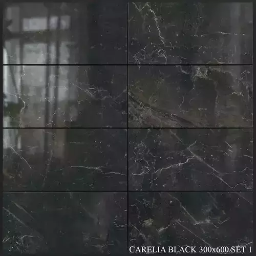 Yurtbay Seramik Carelia Black 300x600 Set 1