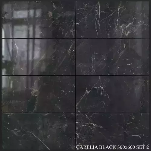 Yurtbay Seramik Carelia Black 300x600 Set 2