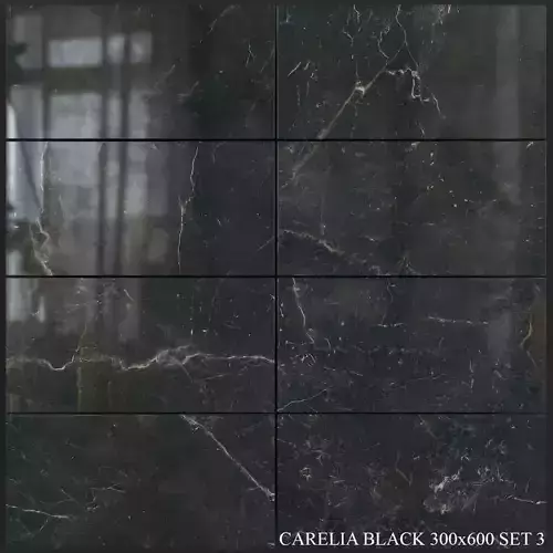 Yurtbay Seramik Carelia Black 300x600 Set 3