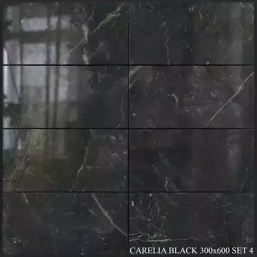 Yurtbay Seramik Carelia Black 300x600 Set 4