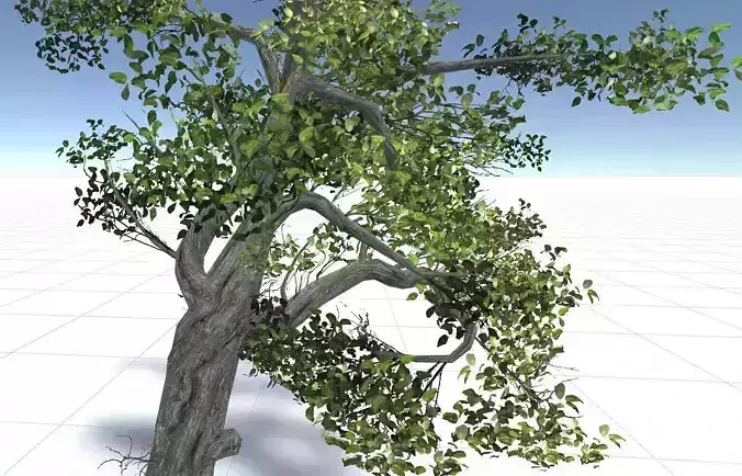 Tree Set Low-poly 3D model