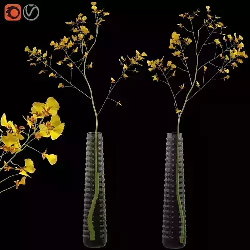 Orchid oncidium in a modern vase