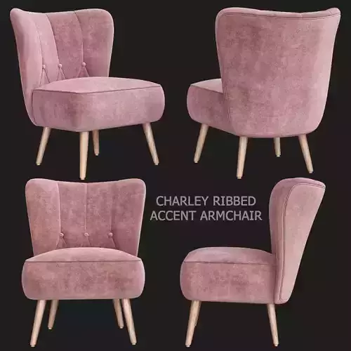 Charley Ribbed Accent Armchair 3d model