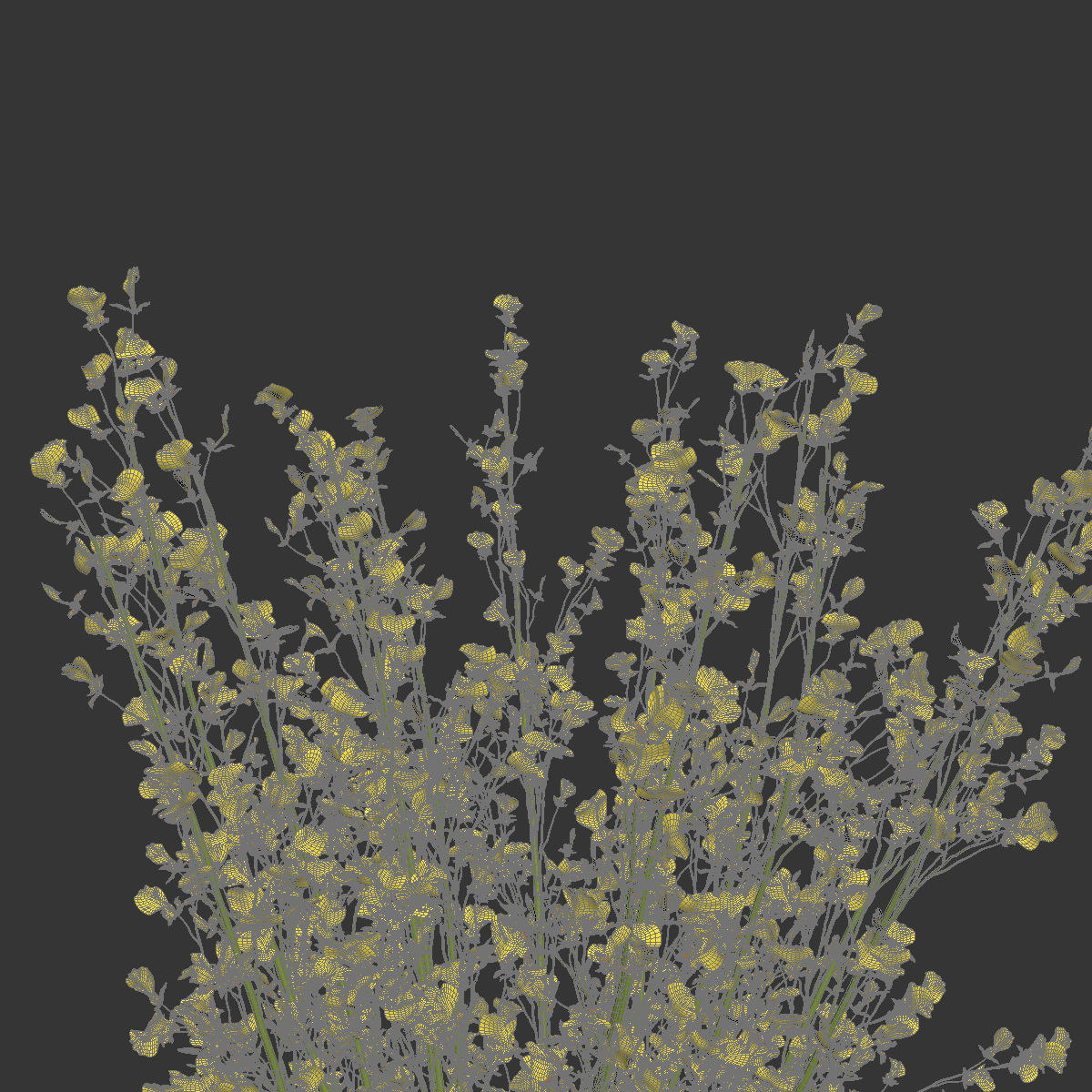 Big bouquet orchid oncidium in a modern vase 3D model_5