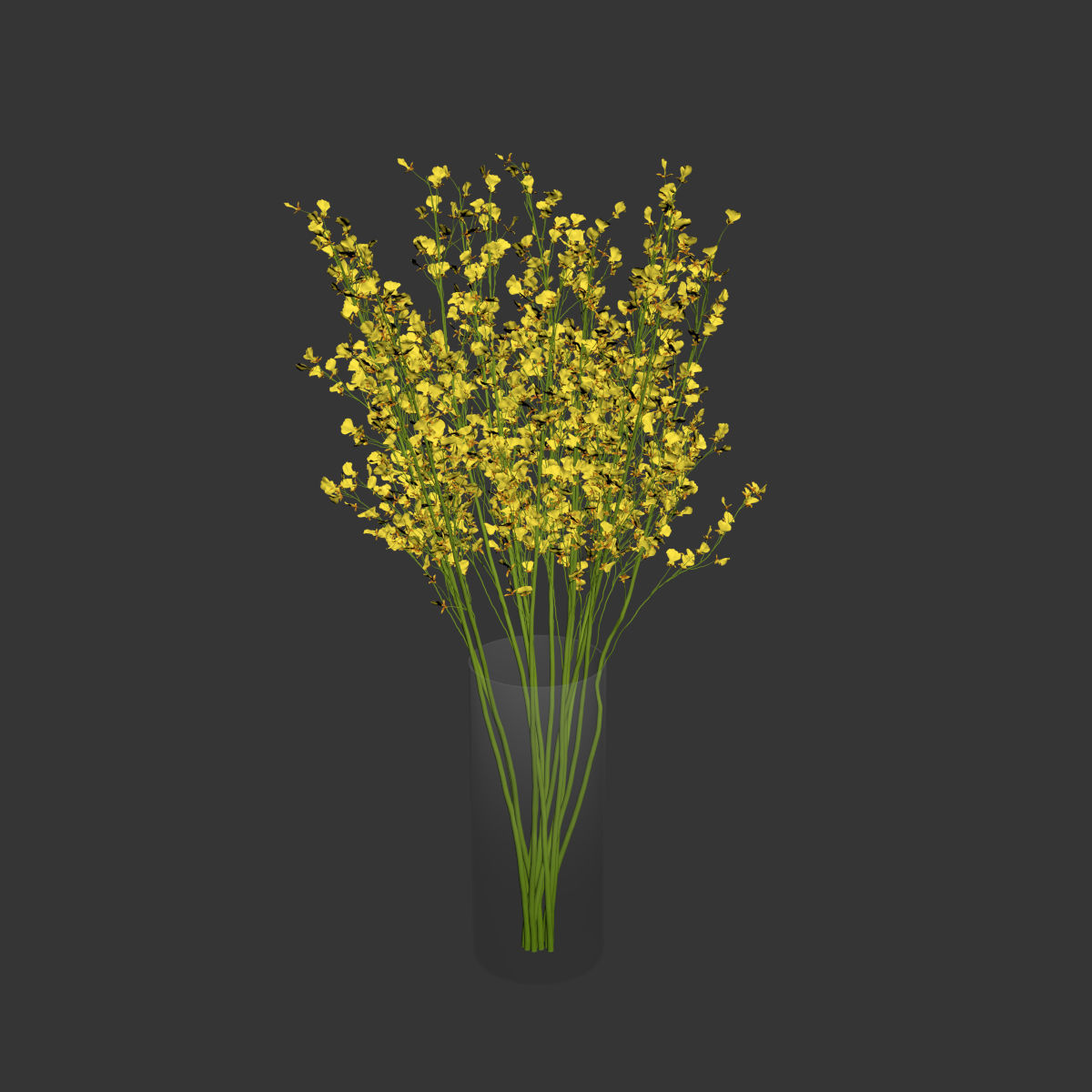 Big bouquet orchid oncidium in a modern vase 3D model_2