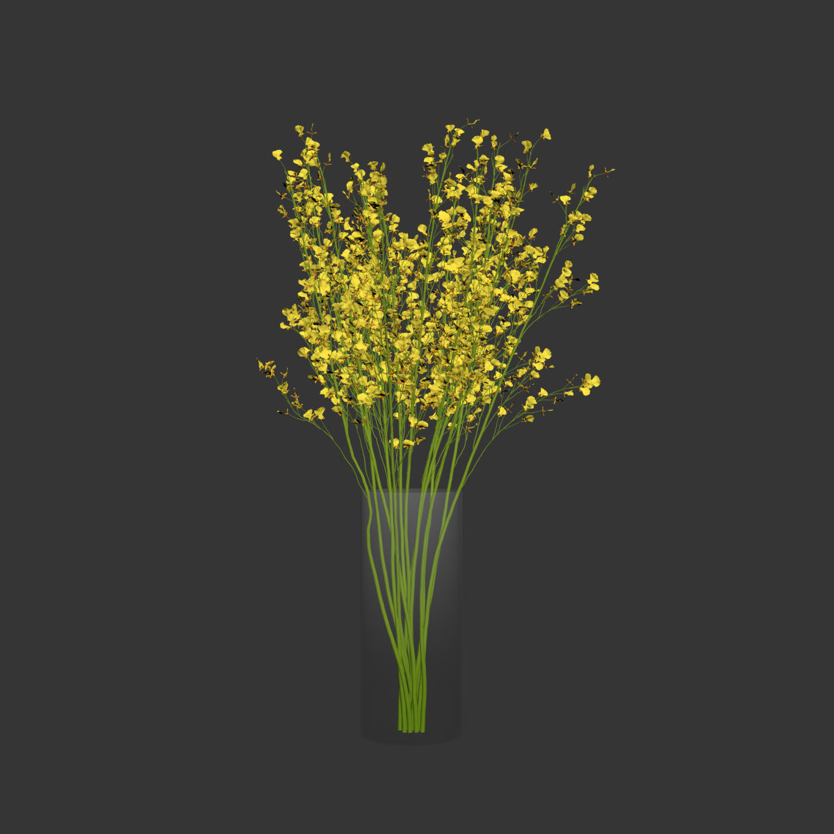 Big bouquet orchid oncidium in a modern vase 3D model_3