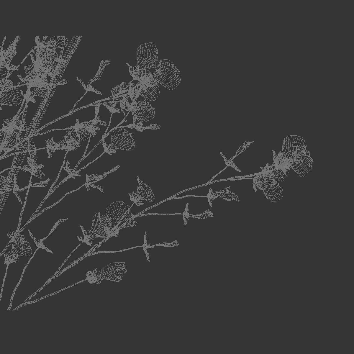 Big bouquet orchid oncidium in a modern vase 3D model_6