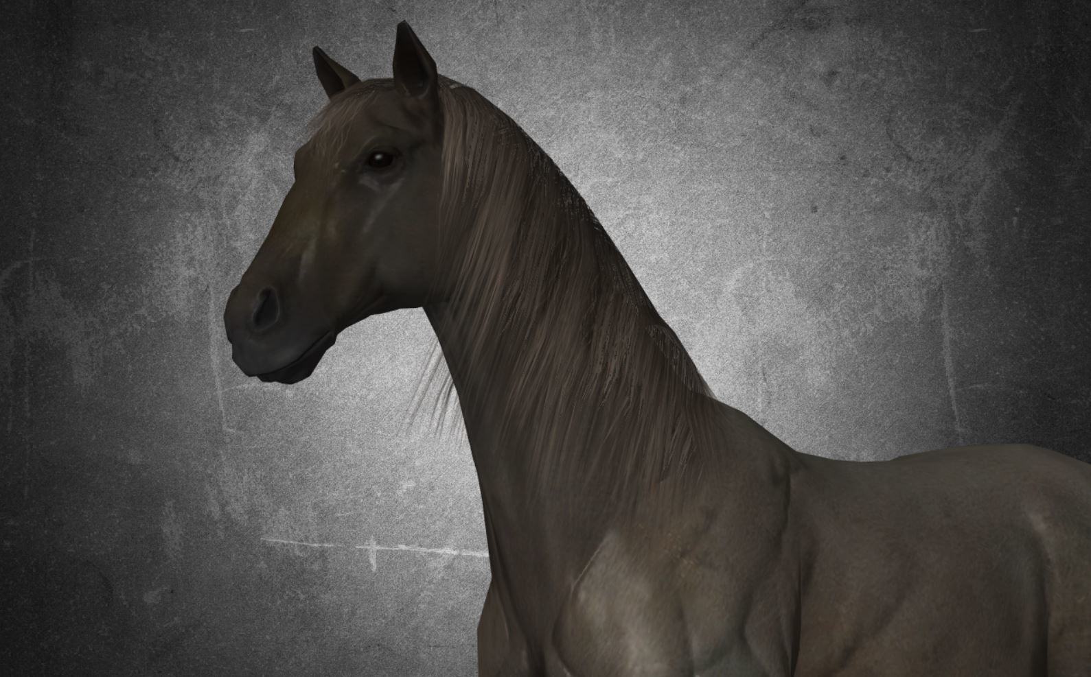 Horse - D4 3D model_14