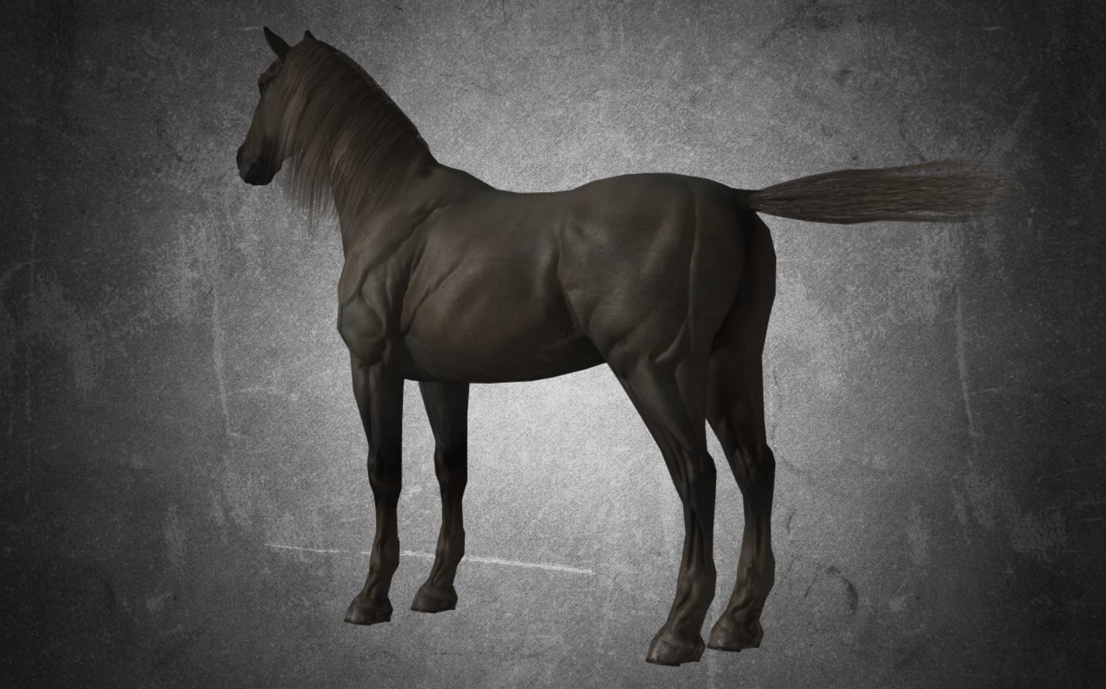 Horse - D4 3D model_12
