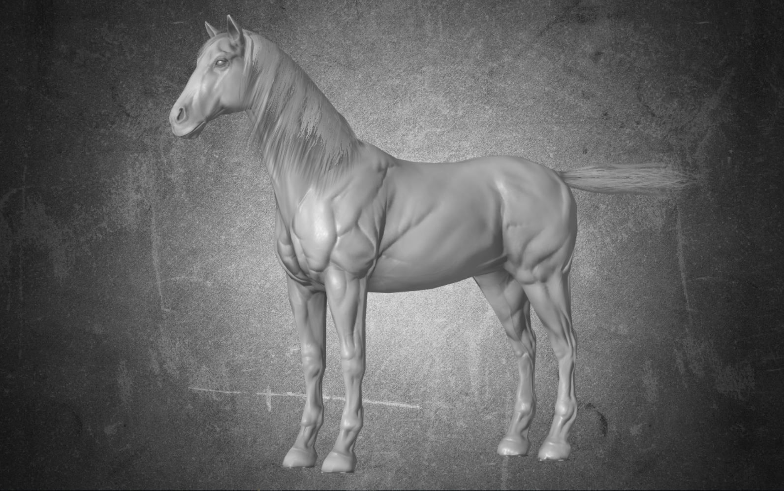 Horse - D4 3D model_9