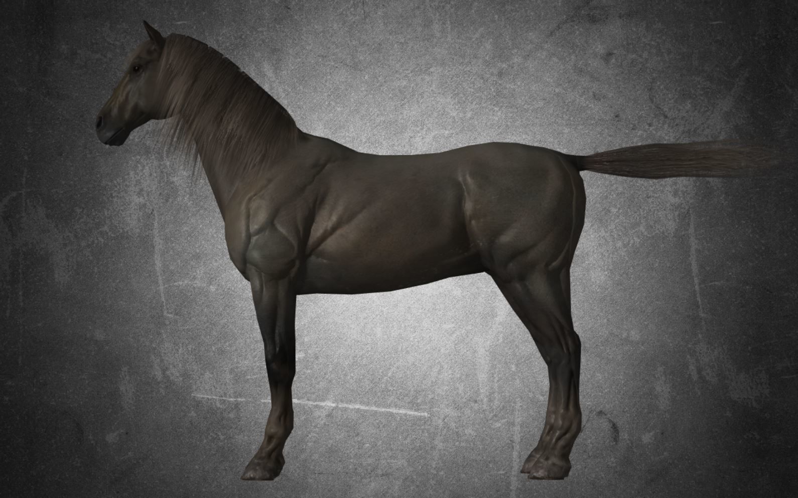 Horse - D4 3D model_11