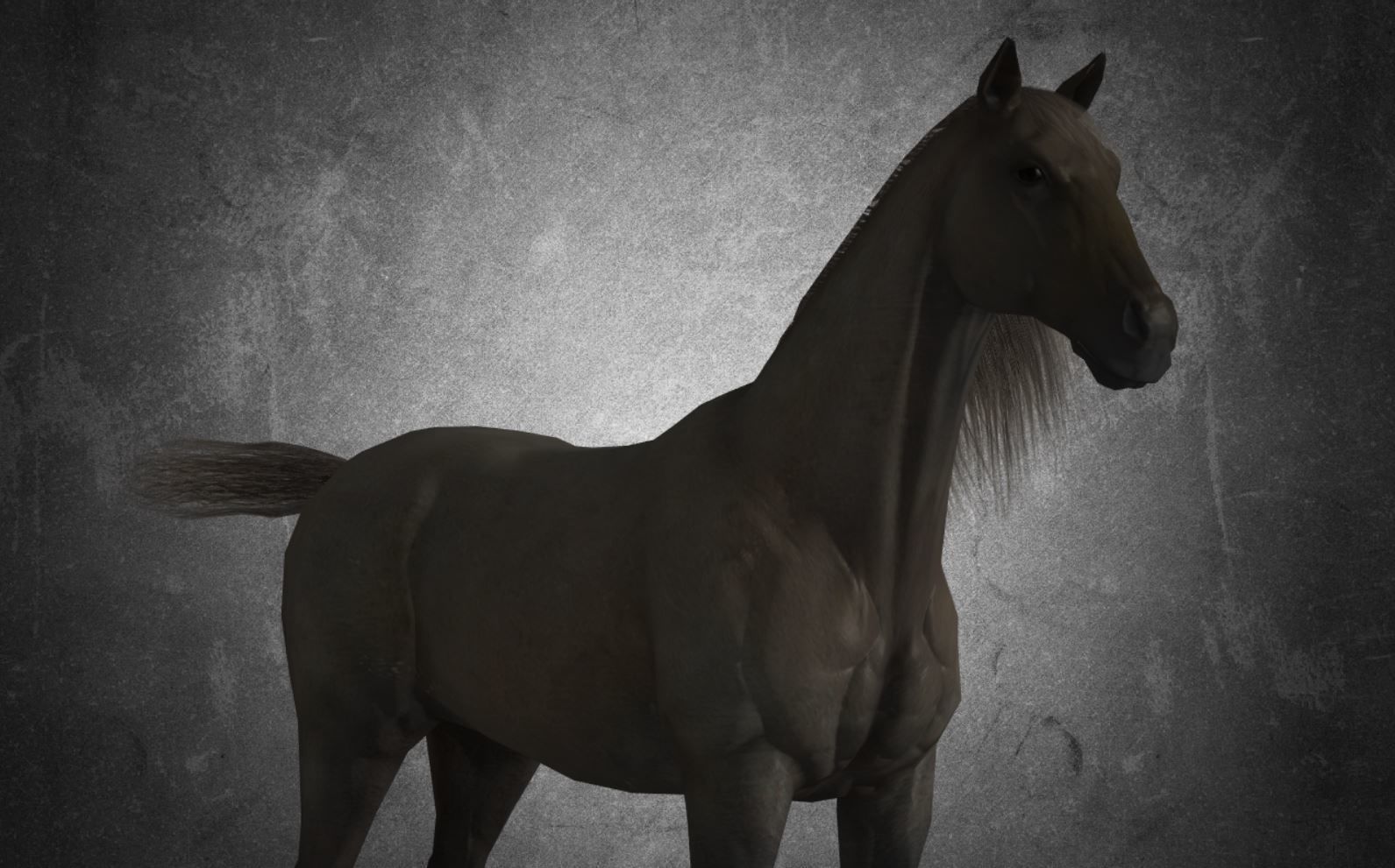 Horse - D4 3D model_13