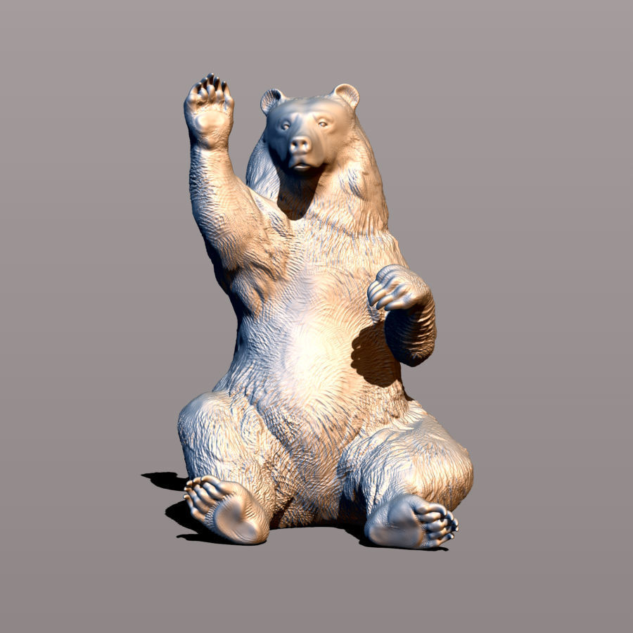 Bear waving paw