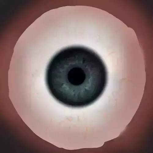 Masha female skeleton