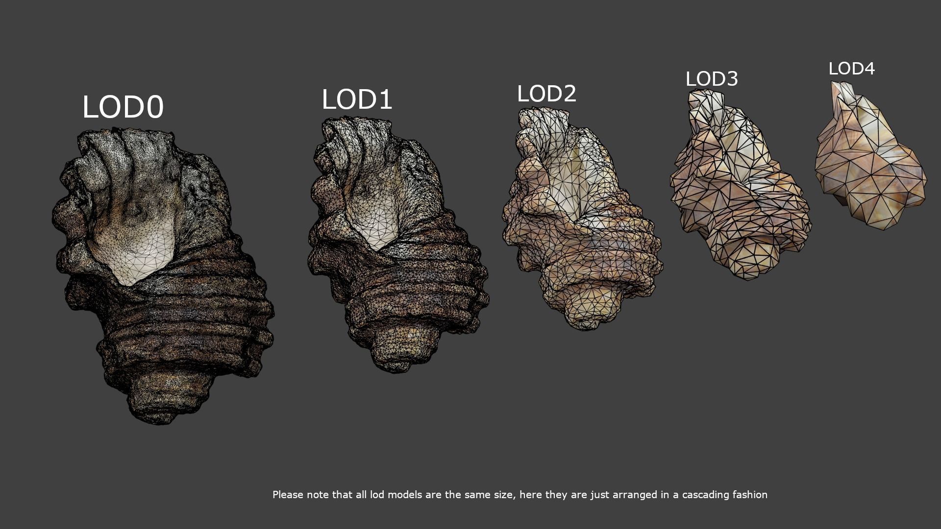 Photoscanned Spiral Ridged Seashell Low-poly 3D model_15