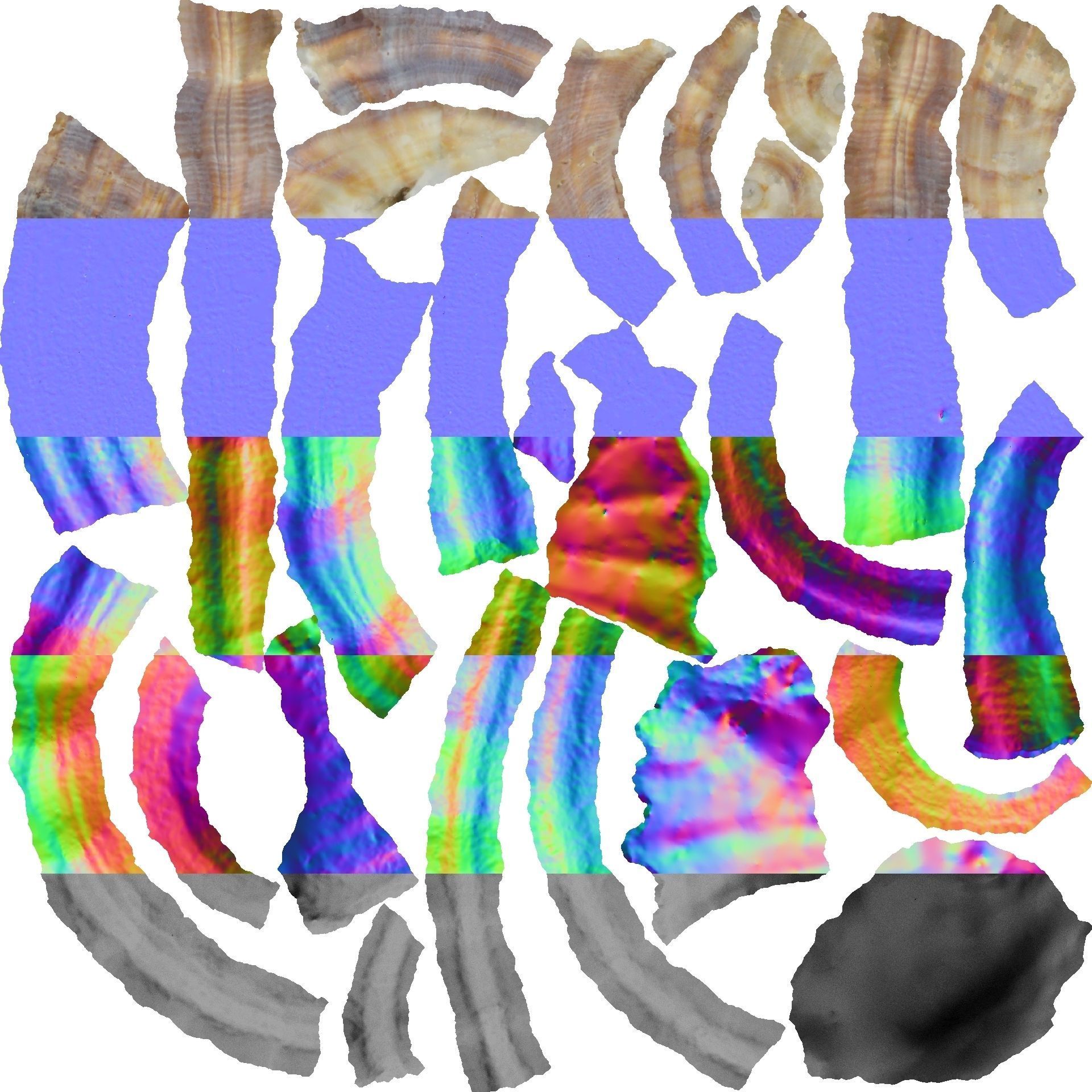 Photoscanned Spiral Ridged Seashell Low-poly 3D model_16