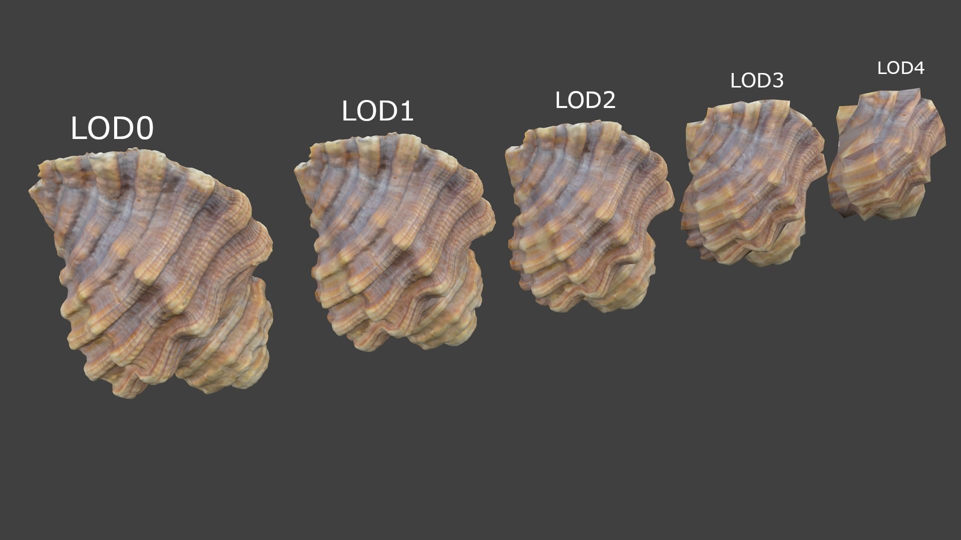 Photoscanned Spiral Ridged Seashell Low-poly 3D model_12