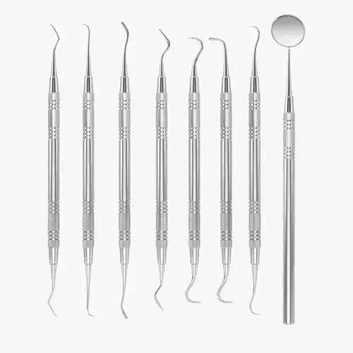 Dentist Pick Set