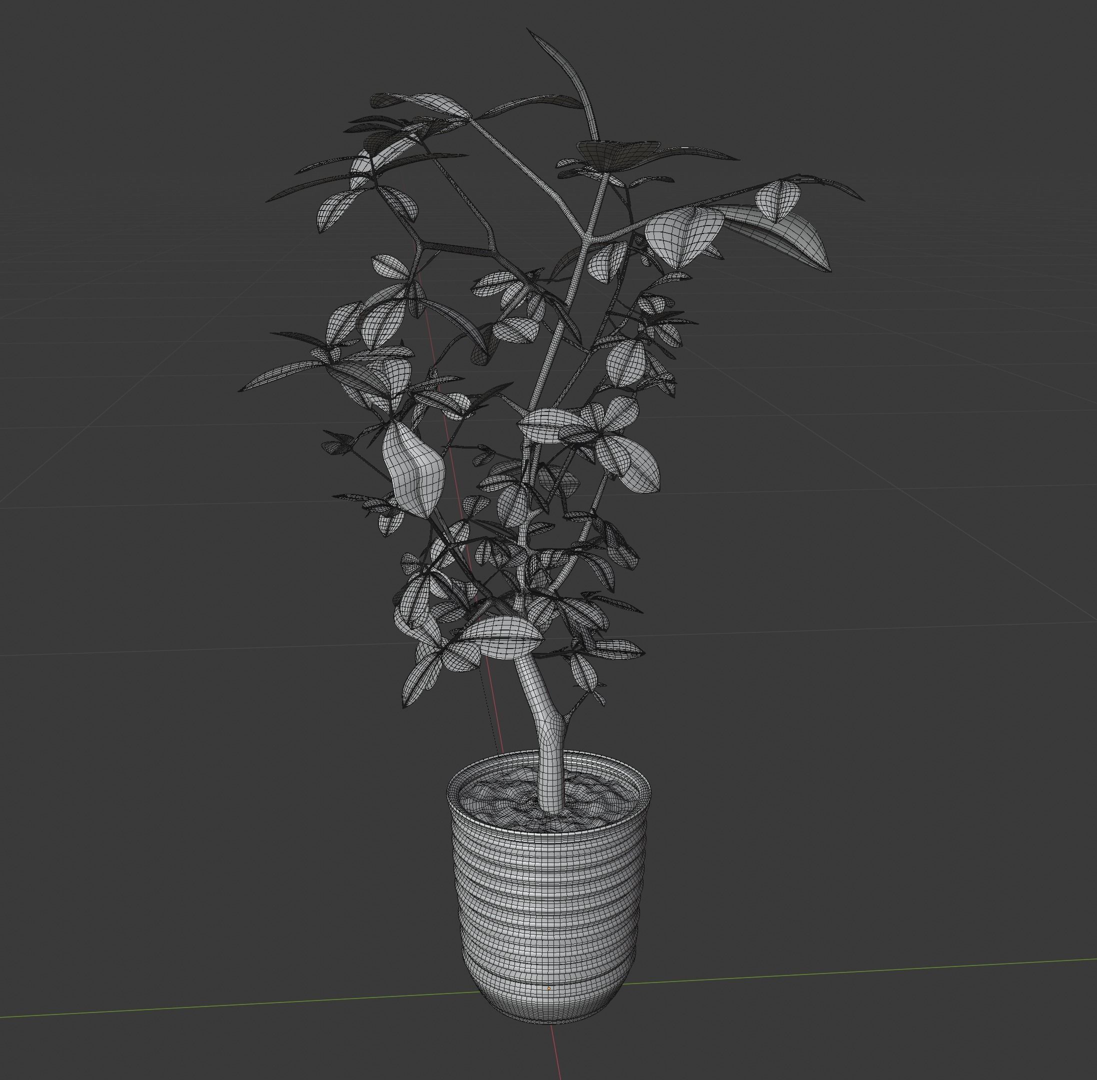 fig tree 3D model_5