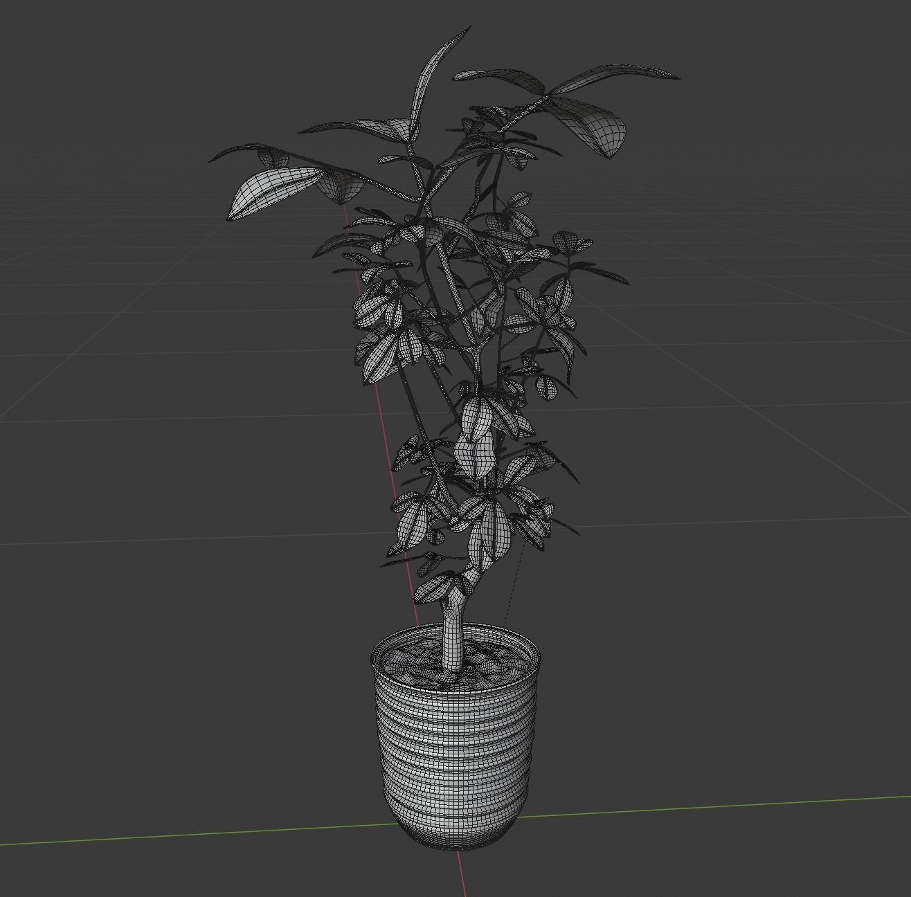 fig tree 3D model_3