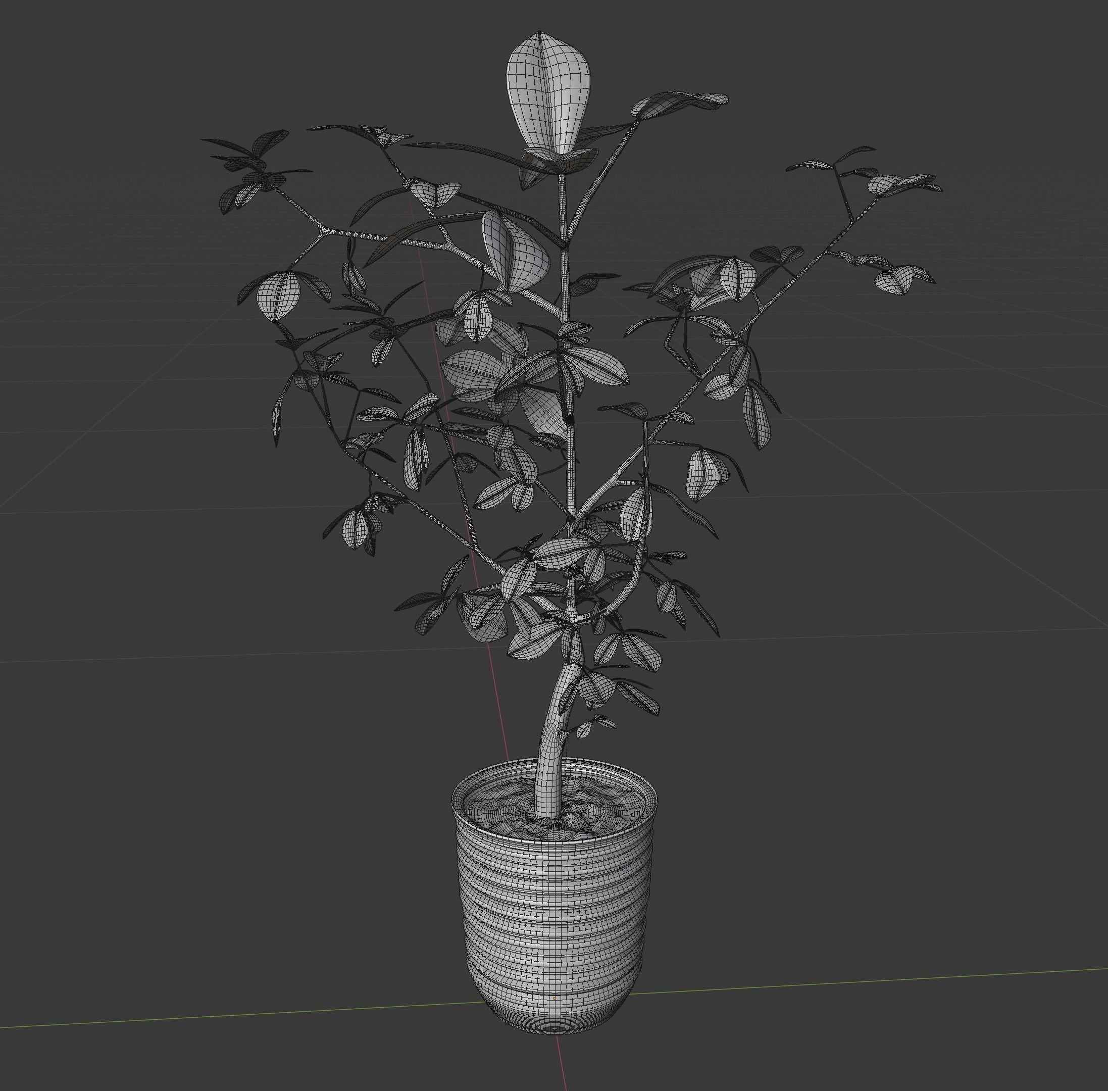 fig tree 3D model_4