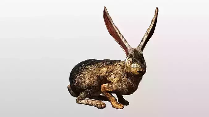 Rabbit  Hare Rigged and Hopping Low-poly 3D model