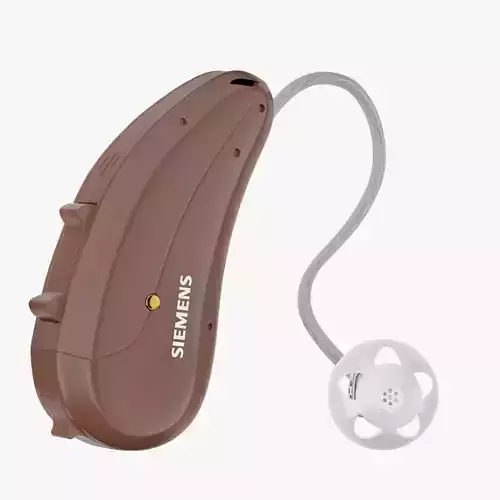 Hearing Aid Brown